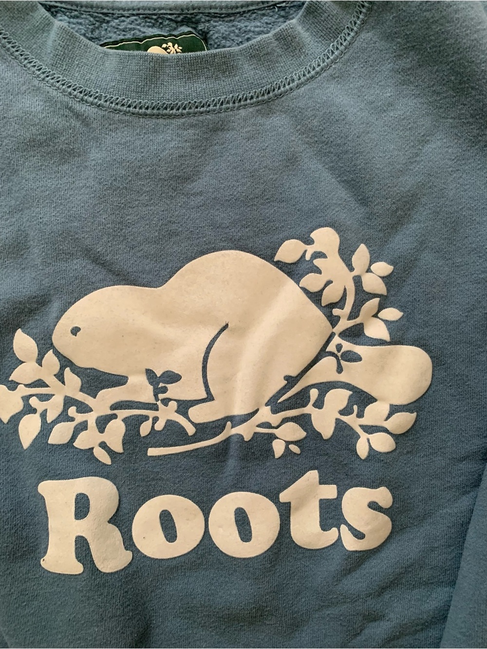 #10 Roots Teal Pullover with Cream Beaver Logo